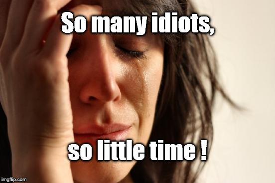 First World Problems Meme | So many idiots, so little time ! | image tagged in memes,first world problems | made w/ Imgflip meme maker