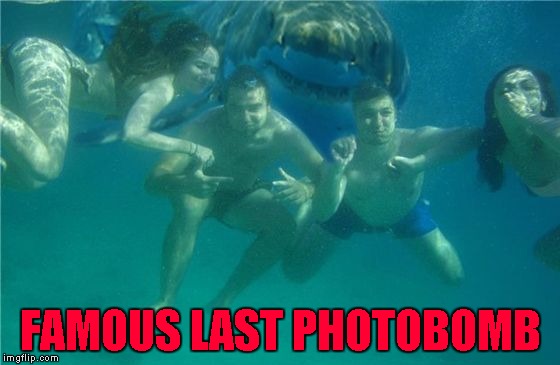 I wonder how much crap was in the water after that photo was taken!!! | FAMOUS LAST PHOTOBOMB | image tagged in shark photobomb,memes,shark,funny,photobomb,animals | made w/ Imgflip meme maker