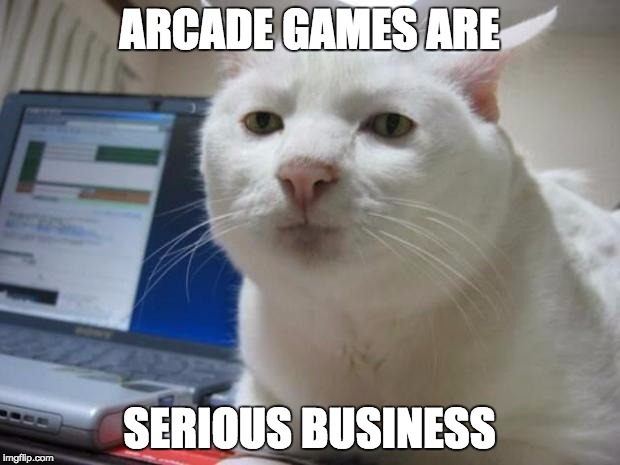 serious cat | ARCADE GAMES ARE; SERIOUS BUSINESS | image tagged in serious cat | made w/ Imgflip meme maker