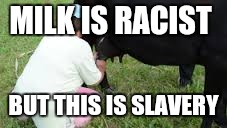 Milk is racist but this is slavery | MILK IS RACIST; BUT THIS IS SLAVERY | image tagged in milk,racism,racist,cow,slavery | made w/ Imgflip meme maker