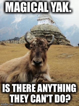 Magical Yak | MAGICAL YAK. IS THERE ANYTHING THEY CAN'T DO? | image tagged in magic | made w/ Imgflip meme maker