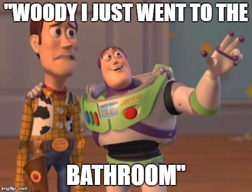 X, X Everywhere | "WOODY I JUST WENT TO THE; BATHROOM" | image tagged in memes,x x everywhere | made w/ Imgflip meme maker