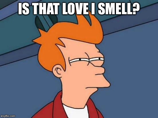 Futurama Fry Meme | IS THAT LOVE I SMELL? | image tagged in memes,futurama fry | made w/ Imgflip meme maker
