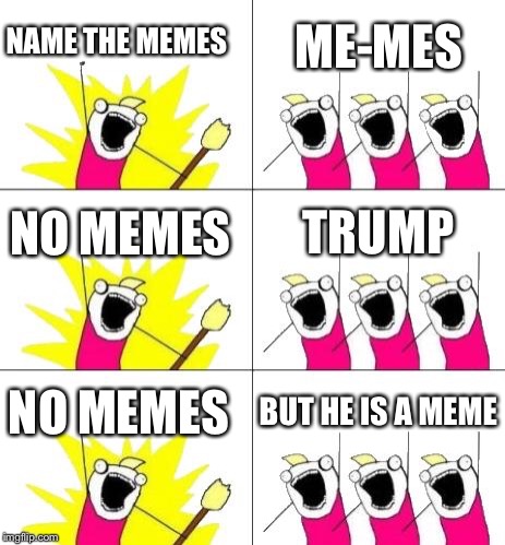What Do We Want 3 Meme | NAME THE MEMES; ME-MES; NO MEMES; TRUMP; NO MEMES; BUT HE IS A MEME | image tagged in memes,what do we want 3 | made w/ Imgflip meme maker