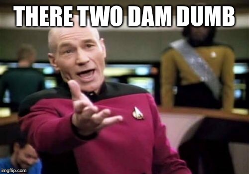 Picard Wtf Meme | THERE TWO DAM DUMB | image tagged in memes,picard wtf | made w/ Imgflip meme maker