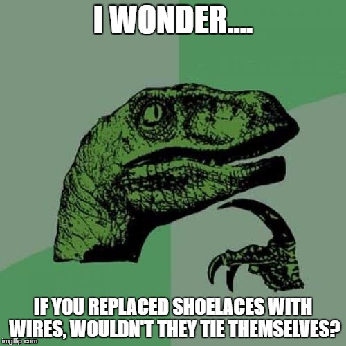 Philosoraptor | I WONDER.... IF YOU REPLACED SHOELACES WITH WIRES, WOULDN'T THEY TIE THEMSELVES? | image tagged in memes,philosoraptor | made w/ Imgflip meme maker