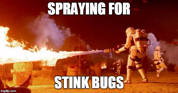 Stormtrooper Flamethower | SPRAYING FOR; STINK BUGS | image tagged in stormtrooper,flamethrower,stink,bugs,spray,fire | made w/ Imgflip meme maker