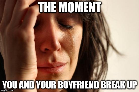 First World Problems Meme | THE MOMENT; YOU AND YOUR BOYFRIEND BREAK UP | image tagged in memes,first world problems | made w/ Imgflip meme maker
