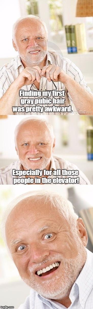 Fifty Shades of Harold | Finding my first gray pubic hair was pretty awkward. Especially for all those people in the elevator! | image tagged in hide the pun harold,awkward,elevator | made w/ Imgflip meme maker