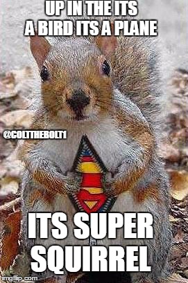 Super Squirrel to the Rescue!! | UP IN THE ITS A BIRD ITS A PLANE; @COLTTHEBOLT1; ITS SUPER SQUIRREL | image tagged in super squirel,memes | made w/ Imgflip meme maker