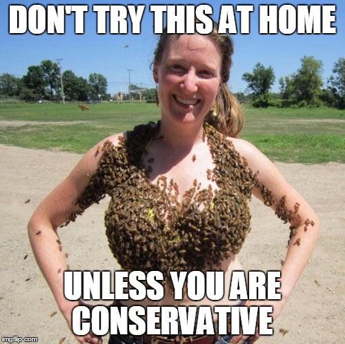 DON'T TRY THIS AT HOME UNLESS YOU ARE CONSERVATIVE | made w/ Imgflip meme maker