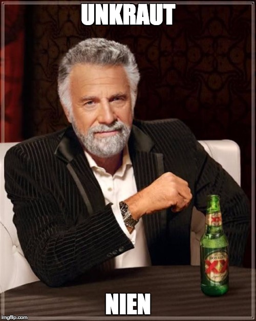 The Most Interesting Man In The World Meme | UNKRAUT; NIEN | image tagged in memes,the most interesting man in the world | made w/ Imgflip meme maker