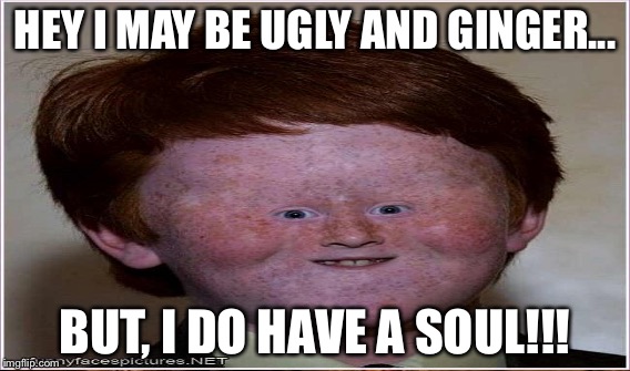Ginger  | HEY I MAY BE UGLY AND GINGER... BUT, I DO HAVE A SOUL!!! | image tagged in funny | made w/ Imgflip meme maker