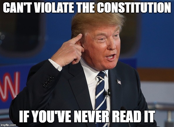 Can't violate the the constitution | CAN'T VIOLATE THE CONSTITUTION; IF YOU'VE NEVER READ IT | image tagged in donald trump | made w/ Imgflip meme maker