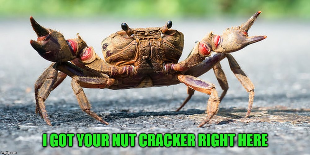 I GOT YOUR NUT CRACKER RIGHT HERE | made w/ Imgflip meme maker