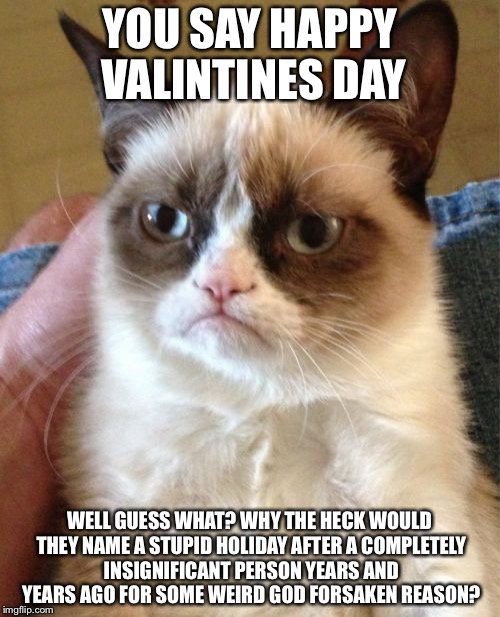 Grumpy Cat Meme | YOU SAY HAPPY VALINTINES DAY; WELL GUESS WHAT? WHY THE HECK WOULD THEY NAME A STUPID HOLIDAY AFTER A COMPLETELY INSIGNIFICANT PERSON YEARS AND YEARS AGO FOR SOME WEIRD GOD FORSAKEN REASON? | image tagged in memes,grumpy cat | made w/ Imgflip meme maker