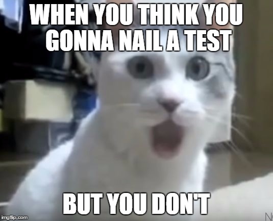 WHEN YOU THINK YOU GONNA NAIL A TEST; BUT YOU DON'T | image tagged in say wahhh | made w/ Imgflip meme maker