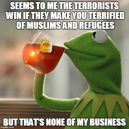 But That's None Of My Business Meme | SEEMS TO ME THE TERRORISTS WIN IF THEY MAKE YOU TERRIFIED OF MUSLIMS AND REFUGEES; BUT THAT'S NONE OF MY BUSINESS | image tagged in memes,but thats none of my business,kermit the frog,AdviceAnimals | made w/ Imgflip meme maker