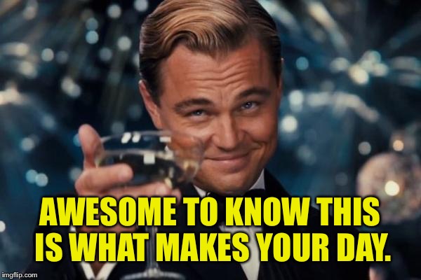 Leonardo Dicaprio Cheers Meme | AWESOME TO KNOW THIS IS WHAT MAKES YOUR DAY. | image tagged in memes,leonardo dicaprio cheers | made w/ Imgflip meme maker