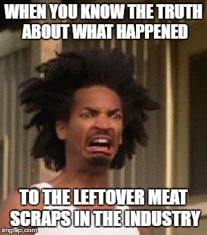Disgusted Face | WHEN YOU KNOW THE TRUTH ABOUT WHAT HAPPENED; TO THE LEFTOVER MEAT SCRAPS IN THE INDUSTRY | image tagged in disgusted face | made w/ Imgflip meme maker