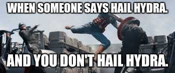 WHEN SOMEONE SAYS HAIL HYDRA. AND YOU DON'T HAIL HYDRA. | image tagged in captain america punching | made w/ Imgflip meme maker