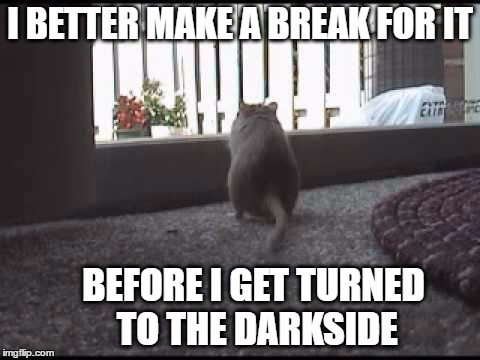 I BETTER MAKE A BREAK FOR IT BEFORE I GET TURNED TO THE DARKSIDE | made w/ Imgflip meme maker