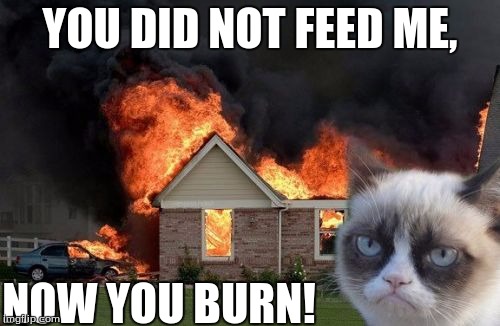 Burn Kitty | YOU DID NOT FEED ME, NOW YOU BURN! | image tagged in memes,burn kitty,grumpy cat | made w/ Imgflip meme maker