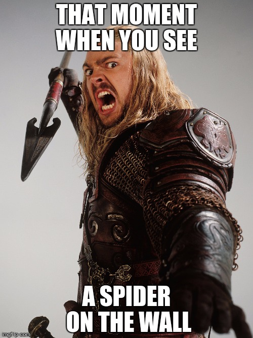Spider slayer | THAT MOMENT WHEN YOU SEE; A SPIDER ON THE WALL | image tagged in lotr,spider,relatable | made w/ Imgflip meme maker