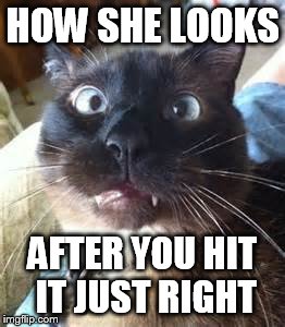 How she looks when you hit it just right | HOW SHE LOOKS; AFTER YOU HIT IT JUST RIGHT | image tagged in funny cat memes | made w/ Imgflip meme maker