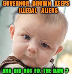 Skeptical Baby | GOVERNOR   BROWN   KEEPS    ILLEGAL    ALIENS; AND  DID  NOT  FIX  THE  DAM  ? | image tagged in memes,skeptical baby | made w/ Imgflip meme maker
