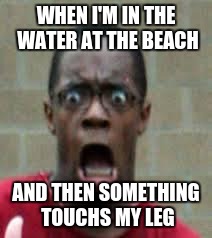 Scared Black Guy | WHEN I'M IN THE WATER AT THE BEACH; AND THEN SOMETHING TOUCHS MY LEG | image tagged in scared black guy | made w/ Imgflip meme maker