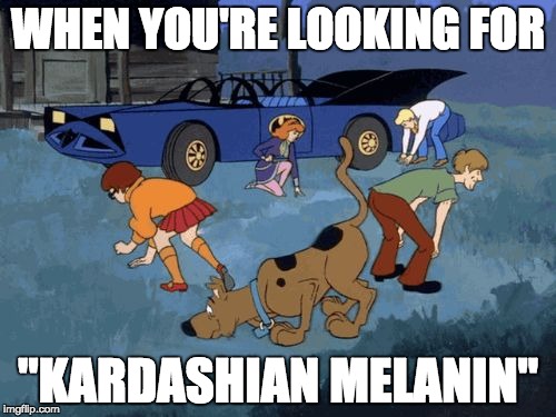 #MelaninGate | WHEN YOU'RE LOOKING FOR; "KARDASHIAN MELANIN" | image tagged in scooby and gang search look,wtf,kardashian,not today | made w/ Imgflip meme maker