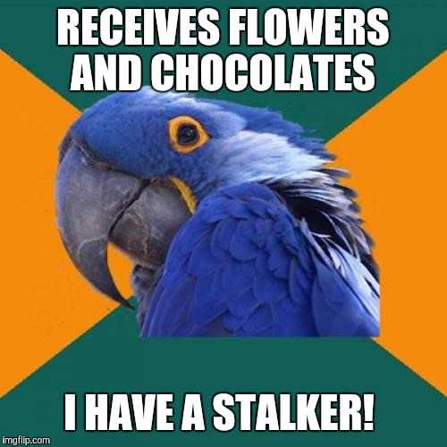 To: Paranoid Parrot, From: (Insert gift-giver's name) | RECEIVES FLOWERS AND CHOCOLATES; I HAVE A STALKER! | image tagged in paranoid parrot,memes,valentine's day,flowers,chocolate | made w/ Imgflip meme maker