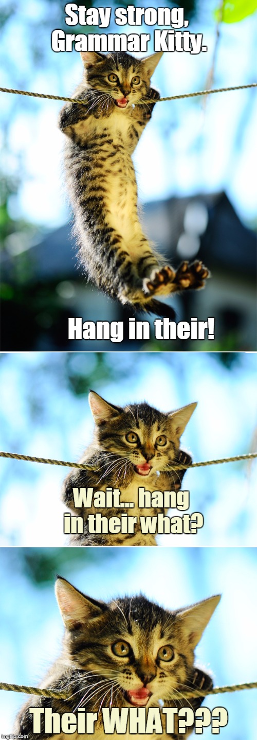 Don't leave Grammar Kitty hanging! | Stay strong, Grammar Kitty. Hang in their! Wait... hang in their what? Their WHAT??? | image tagged in hang in there kitty,grammar nazi cat | made w/ Imgflip meme maker
