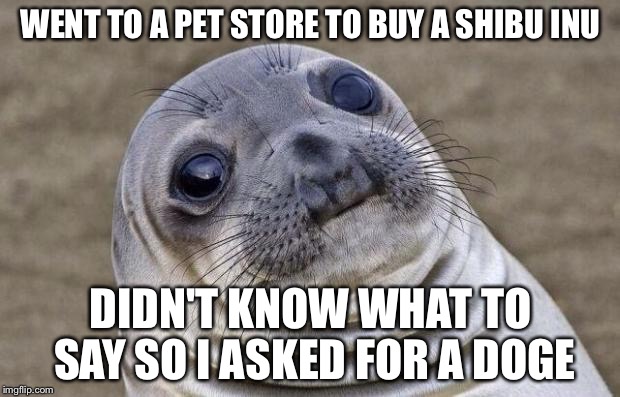 Awkward Moment Sealion | WENT TO A PET STORE TO BUY A SHIBU INU; DIDN'T KNOW WHAT TO SAY SO I ASKED FOR A DOGE | image tagged in memes,awkward moment sealion | made w/ Imgflip meme maker