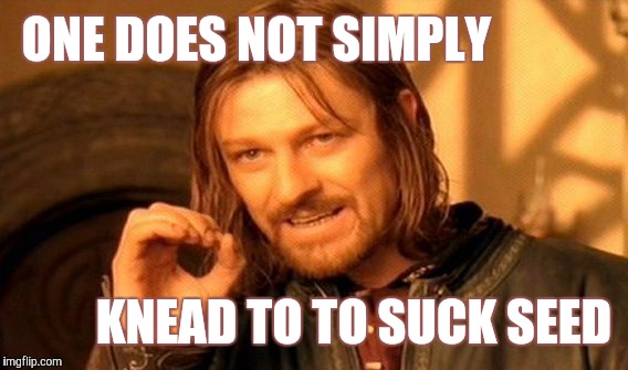 One Does Not Simply Meme | ONE DOES NOT SIMPLY KNEAD TO TO SUCK SEED | image tagged in memes,one does not simply | made w/ Imgflip meme maker