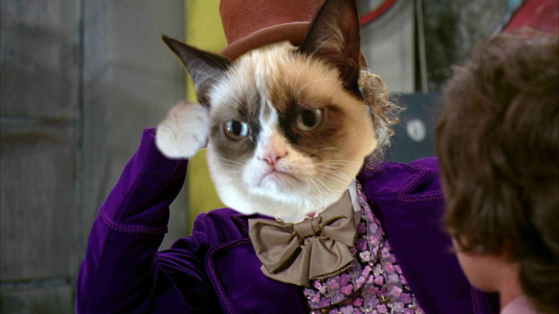 Grumpy Cat Wonka Blank Meme Template