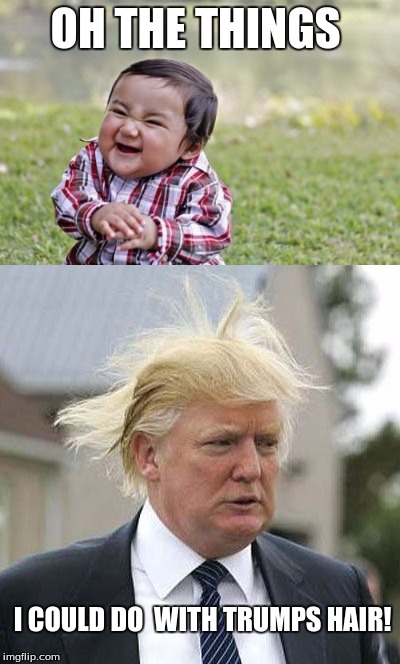 OH THE THINGS; I COULD DO  WITH TRUMPS HAIR! | image tagged in donald trumph hair | made w/ Imgflip meme maker
