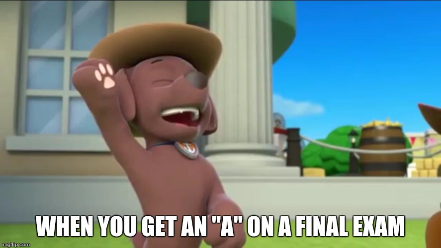 I feel this way whenever it happens. | WHEN YOU GET AN "A" ON A FINAL EXAM | image tagged in paw patrol,memes,exams | made w/ Imgflip meme maker