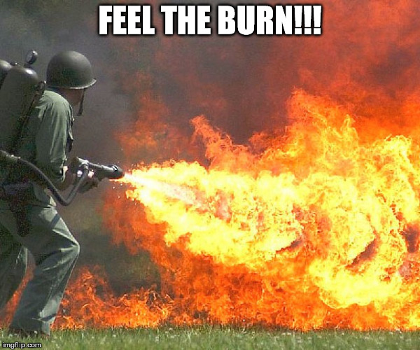Flamethrower | FEEL THE BURN!!! | image tagged in flamethrower | made w/ Imgflip meme maker