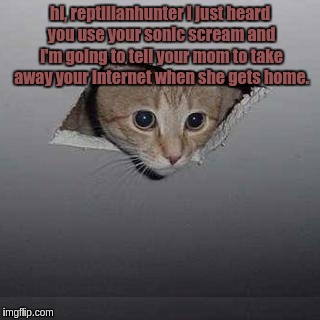 this is probobly what ceiling cat would say if it heard me sonic scream. | hi, reptilianhunter i just heard you use your sonic scream and i'm going to tell your mom to take away your internet when she gets home. | image tagged in memes,ceiling cat | made w/ Imgflip meme maker