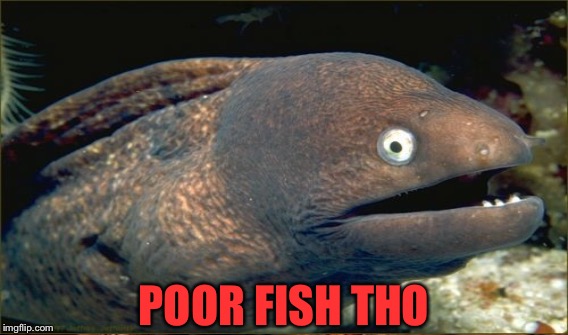 POOR FISH THO | made w/ Imgflip meme maker