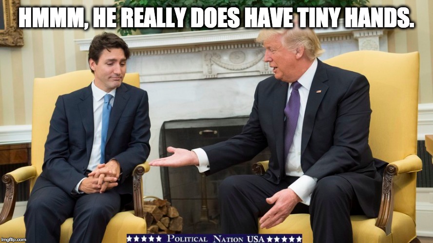 HMMM, HE REALLY DOES HAVE TINY HANDS. | image tagged in nevertrump,never trump,nevertrump meme,dumptrump,dump trump | made w/ Imgflip meme maker