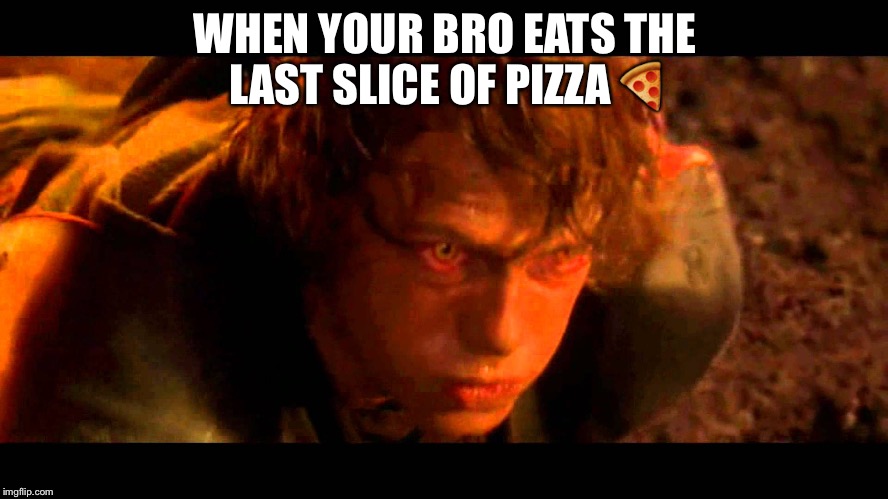 I hate you Anakin  |  WHEN YOUR BRO EATS THE LAST SLICE OF PIZZA 🍕 | image tagged in i hate you anakin | made w/ Imgflip meme maker