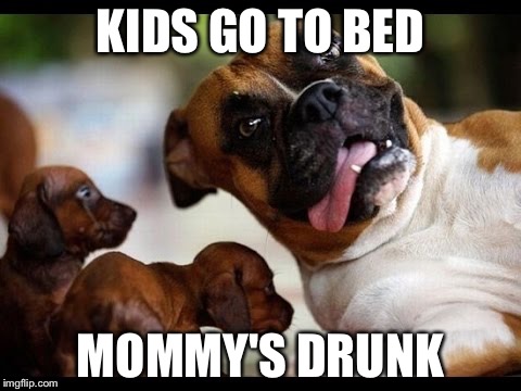 KIDS GO TO BED; MOMMY'S DRUNK | image tagged in boxer dog | made w/ Imgflip meme maker