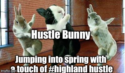 Dancing bunny | Hustle Bunny; Jumping into spring with a touch of #highland hustle | image tagged in hustle | made w/ Imgflip meme maker