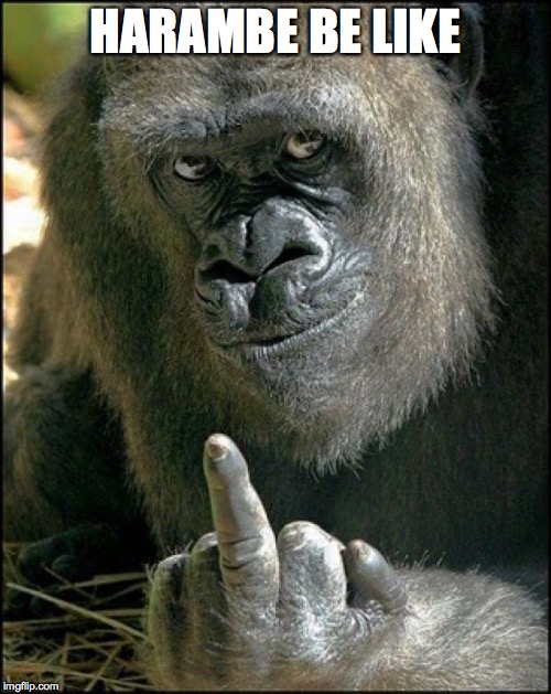 Gorilla Sushi Says | HARAMBE BE LIKE | image tagged in gorilla sushi says | made w/ Imgflip meme maker
