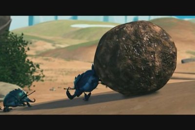 Dung beetle Blank Meme Template