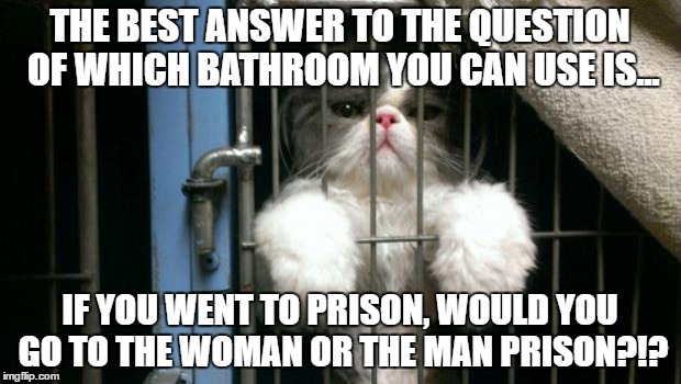 prison | THE BEST ANSWER TO THE QUESTION OF WHICH BATHROOM YOU CAN USE IS... IF YOU WENT TO PRISON, WOULD YOU GO TO THE WOMAN OR THE MAN PRISON?!? | image tagged in prison | made w/ Imgflip meme maker