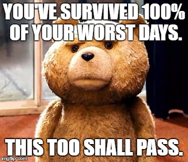 TED Meme | YOU'VE SURVIVED 100% OF YOUR WORST DAYS. THIS TOO SHALL PASS. | image tagged in memes,ted | made w/ Imgflip meme maker